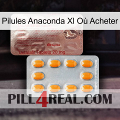 Pilules Anaconda Xl Où Acheter new13